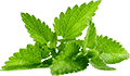 移动办公利器的小黑ddos压力测试平台